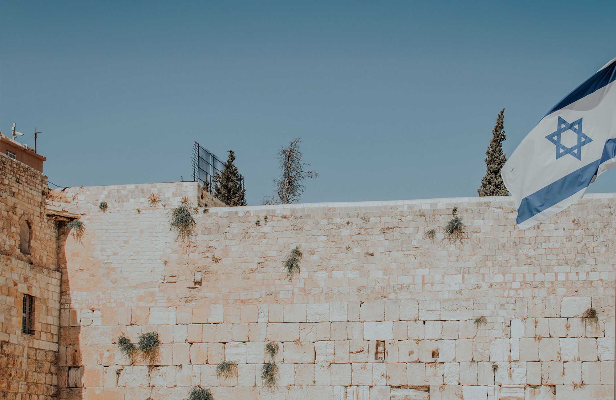 中文 Slide background